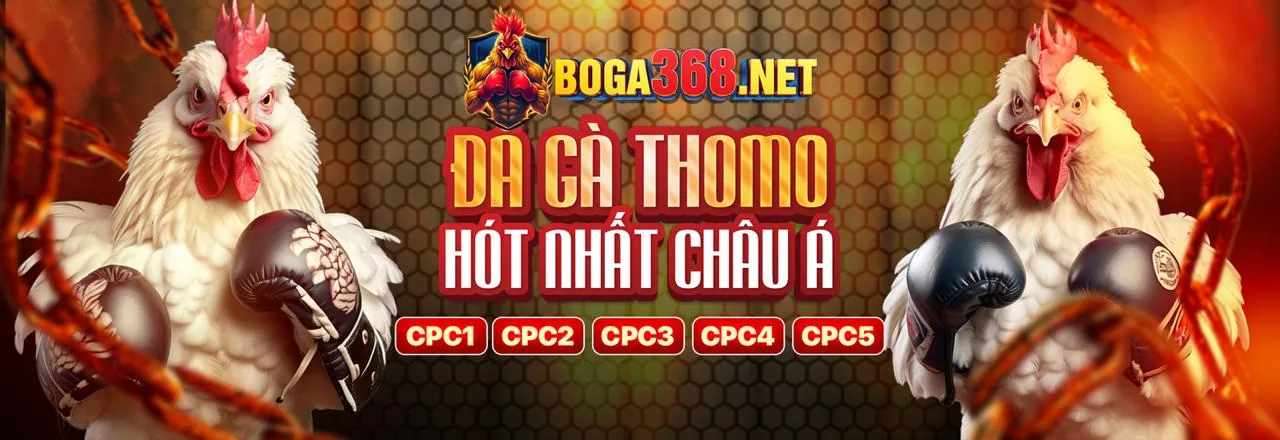 Tin tức đá gà trực tiếp mới nhất