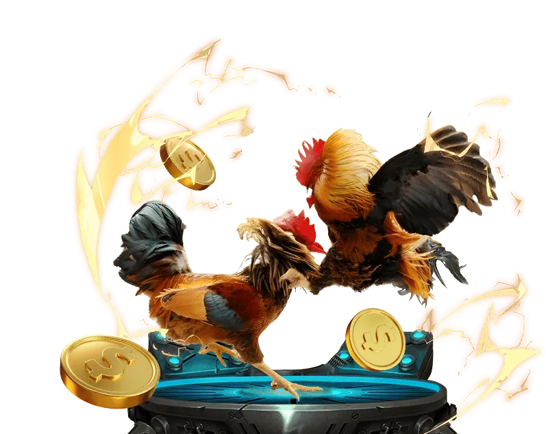 Hình ảnh gà chiến và hướng dẫn cá cược